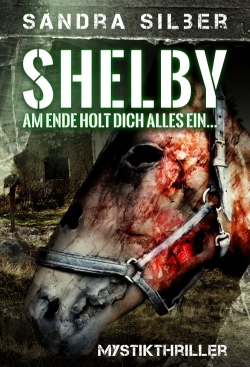 Thriller eBook Cover Design Shelby Am Ende Holt Dich Alles Ein