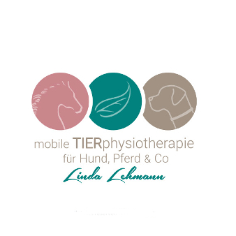 Ein Physiotherapie Logo Bringt Schwung In Dein Unternehmen