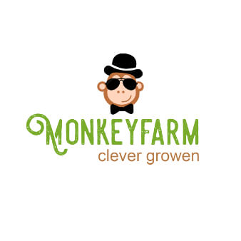 grünes Logo Design Monkeyfarm