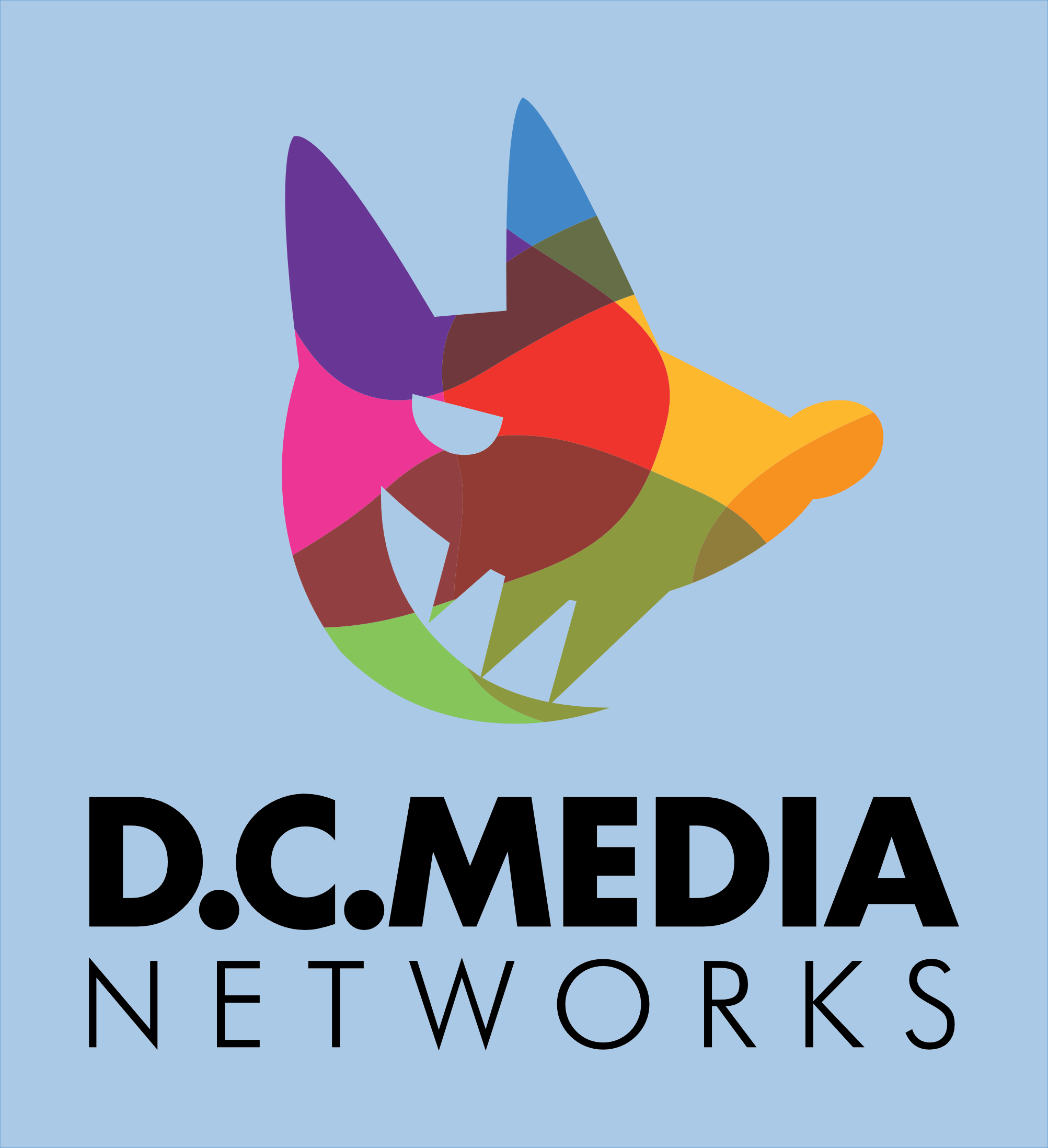 DC-Media-Networks-eCommerce-Logo-Design