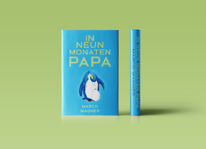 In-neun-Monaten-Papa-Buch-Cover