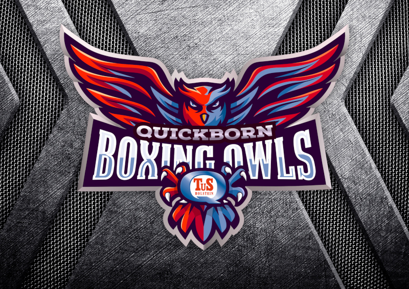 Quick-Born-Boxing-Owls-Logo-Design-Kreativitaet