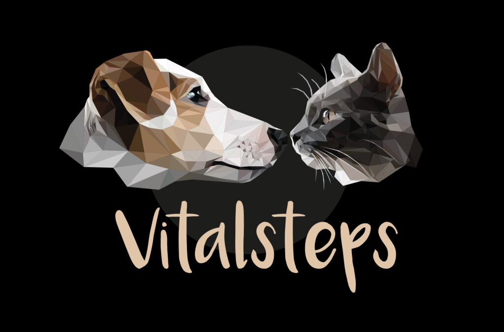 Vitalsteps Tier Logo