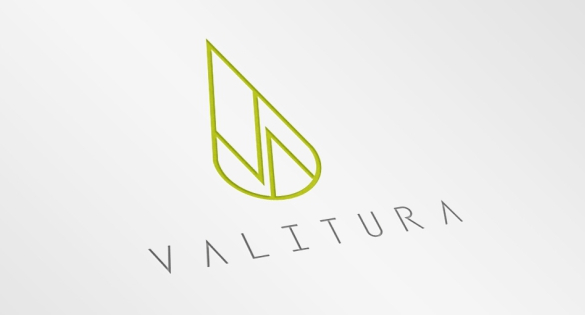 CBD Logo, Valitura