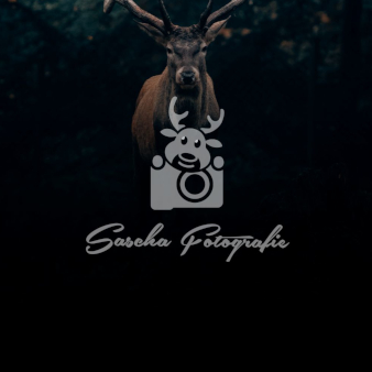 Sascha-Fotografie-Kamera-Logos