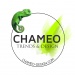 Chameo Design