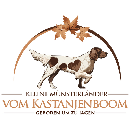 KlM-Zwinger vom Kastanjenboom