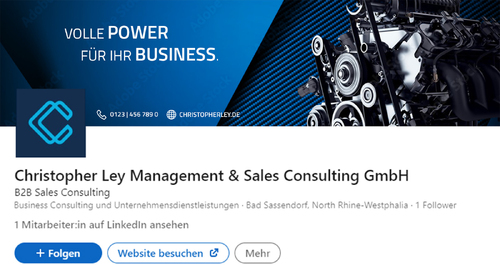 Linkedin Banner Design (Profilbanner und Unternehmensbanner) (1584 x 396) (1128 x 191)