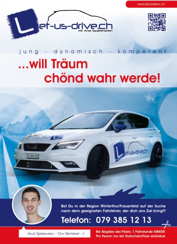  Flyer-Design für Fahrschule