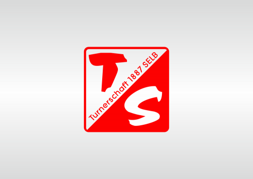 Design von MS Logo