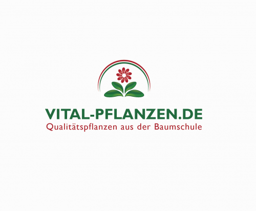 Logo-Design für Pflanzen Online Shop