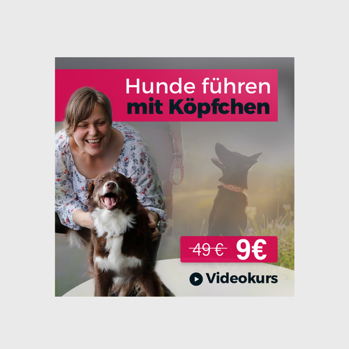 Online-Marketing Material für Hundetraining