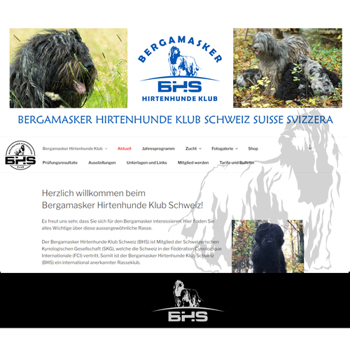  Logo-Design für ein Bergamasker Hirtenhunde Klub